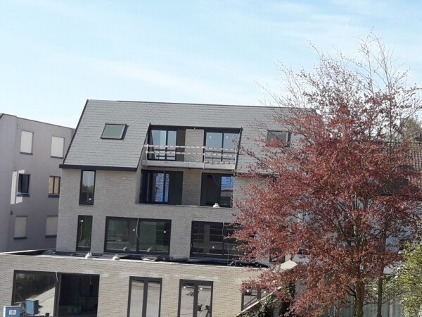 Dakwerken, leien van eternit